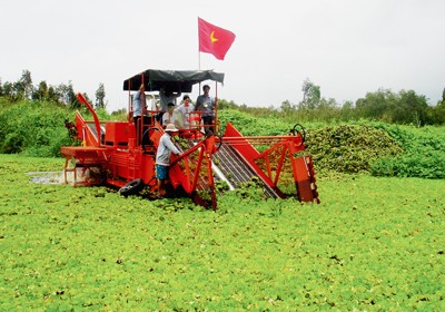A water hyacinth cutting machine being tested in U Minh Ha National Park in the Mekong Delta province of Ca Mau